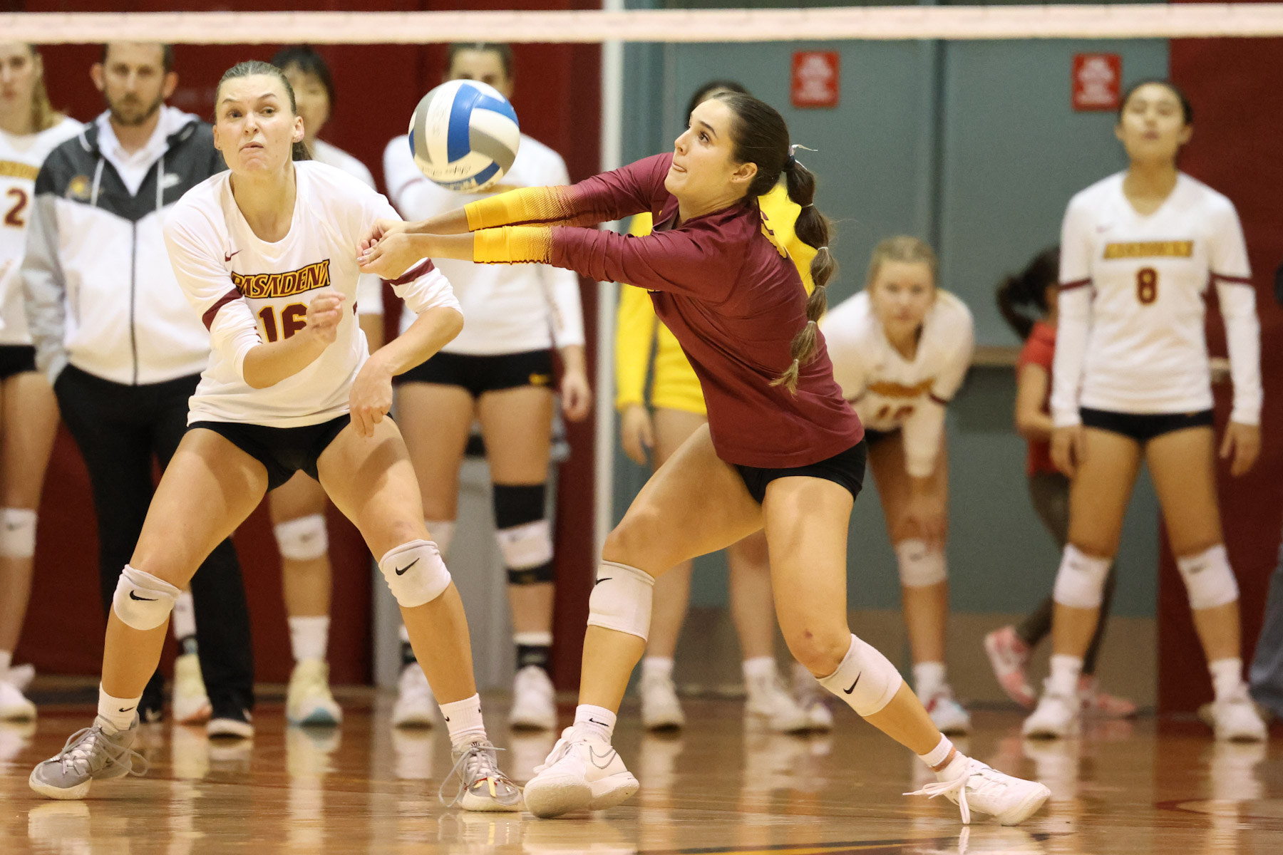 Makayla Chiechi with the dig during PCC's win on Wednesday night (photo by Richard Quinton).